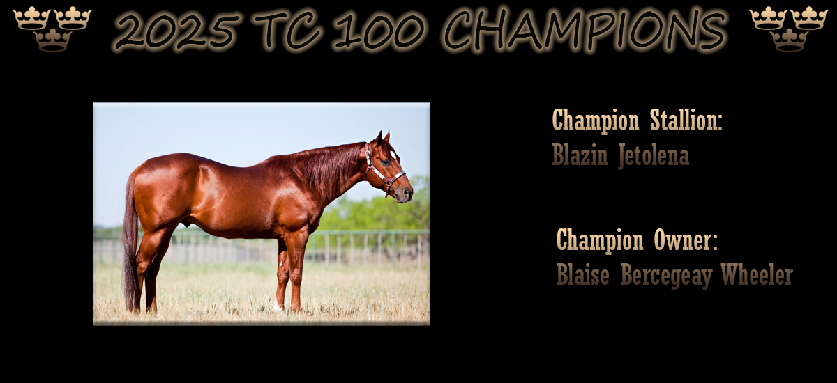 2025 TC 100 Champion Stallion